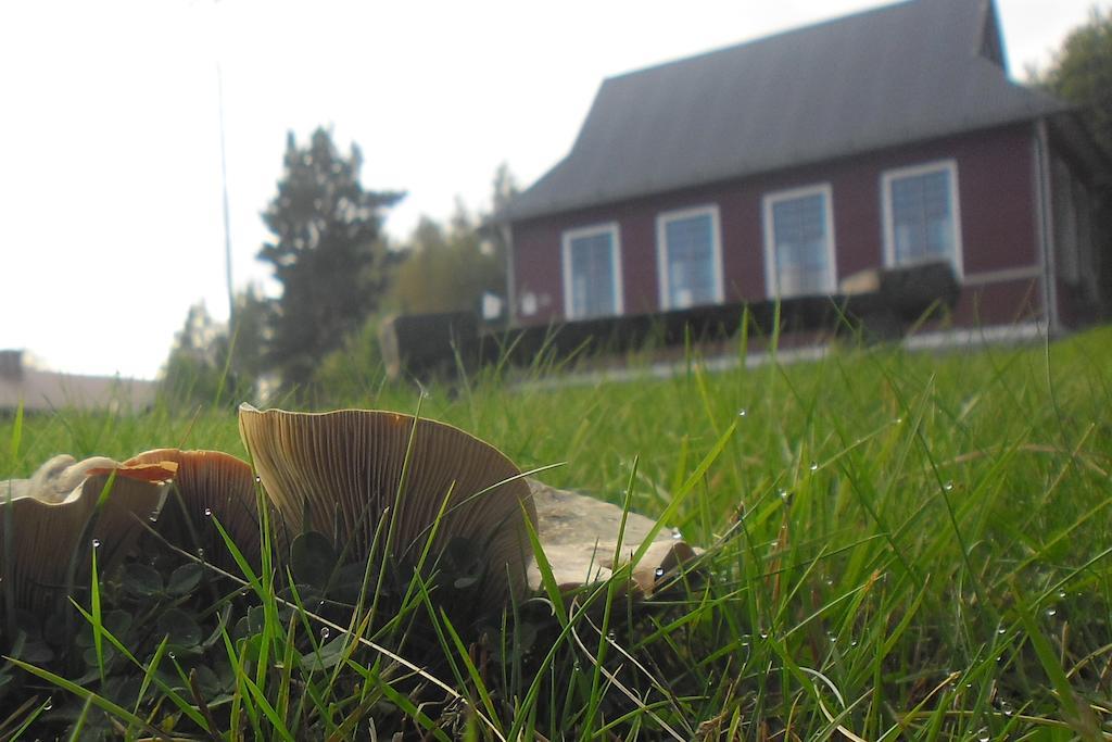 Hovra Vandrarhem Håvra Exteriör bild